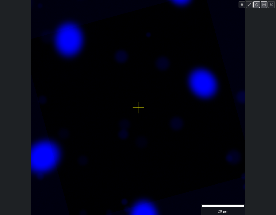 DAPI