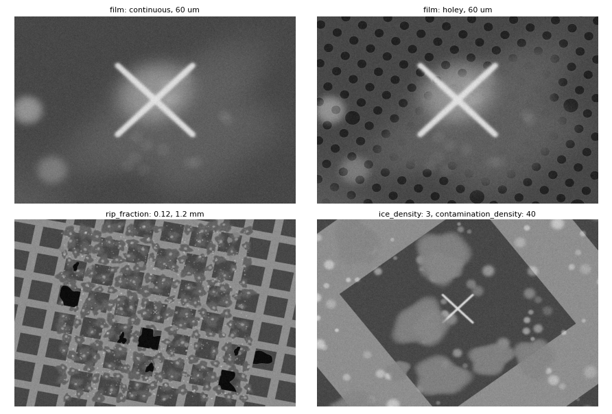 Film and defects