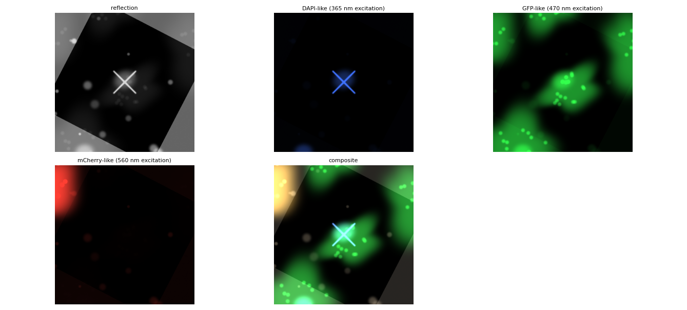 Fluorescence channels