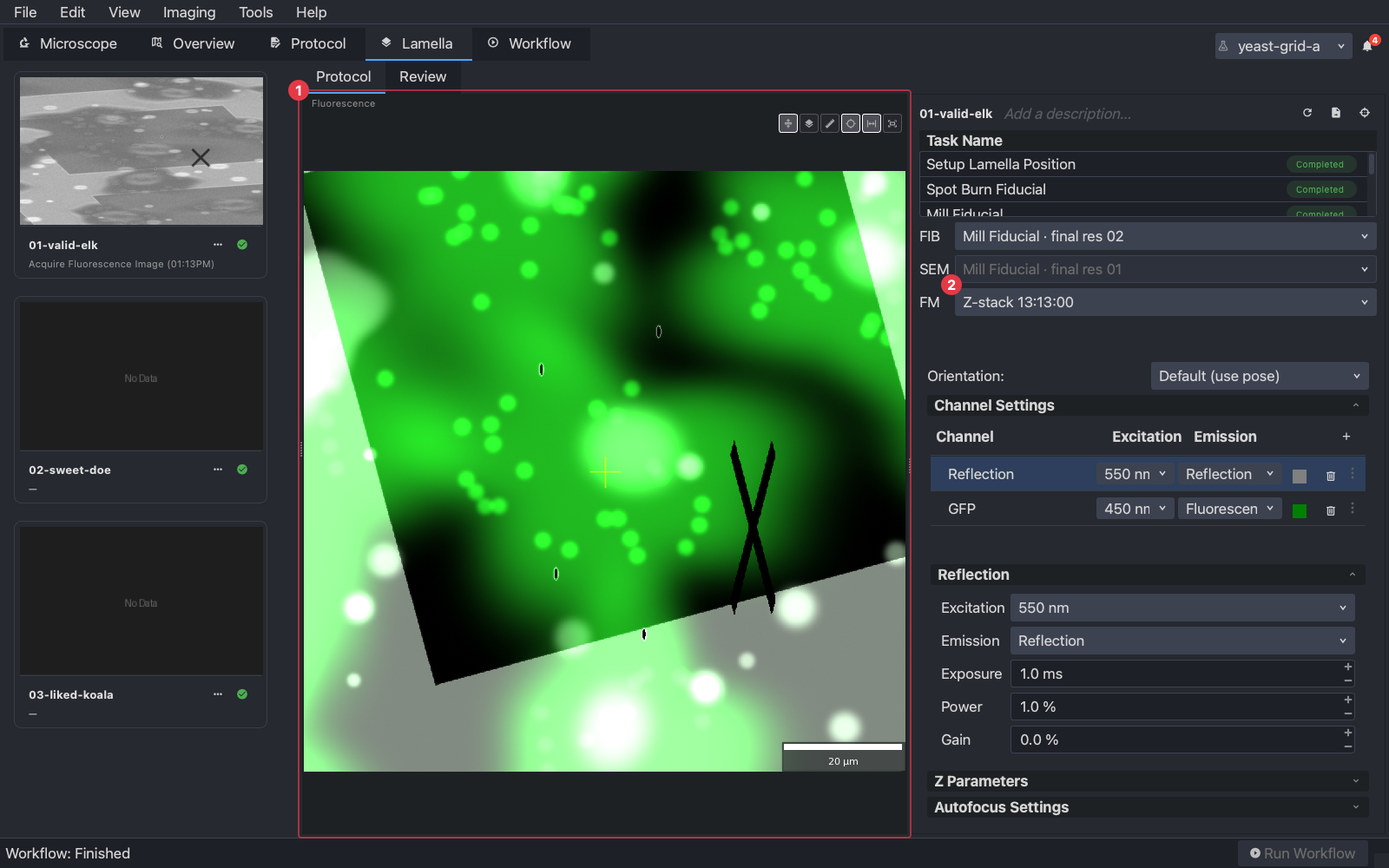 The Lamella tab with the fluorescence stack