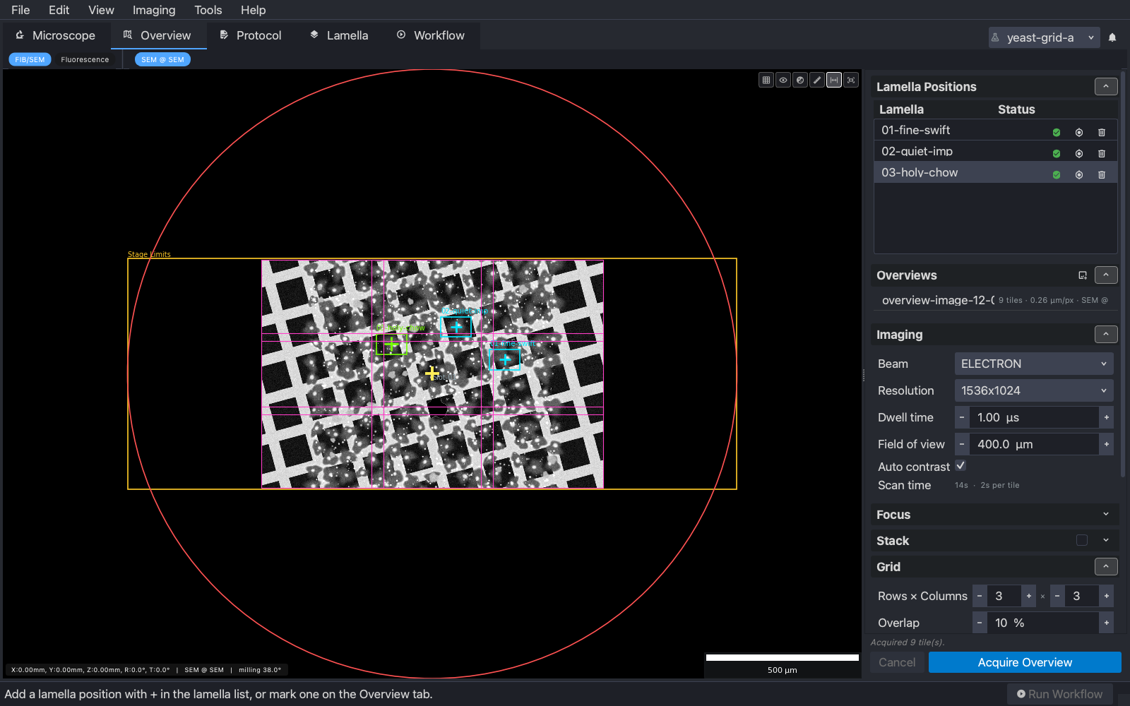 Three positions marked on the SEM overview