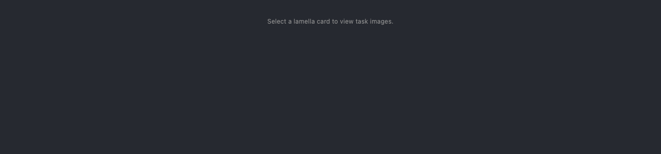 The Review sub-tab before any task has run