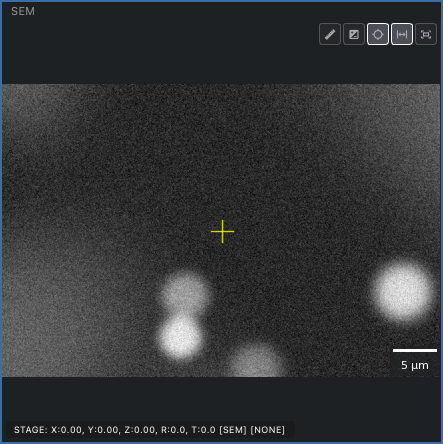 SEM at 50 µm