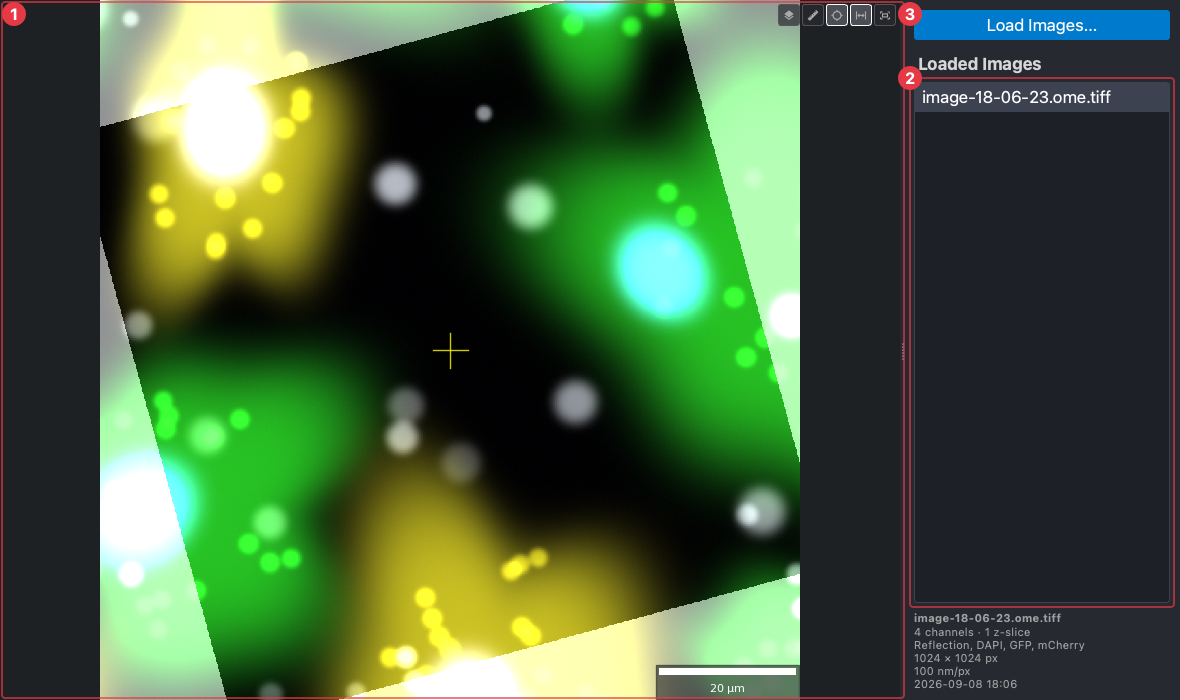 The Fluorescence Image Viewer: the canvas, the loaded images, and Load