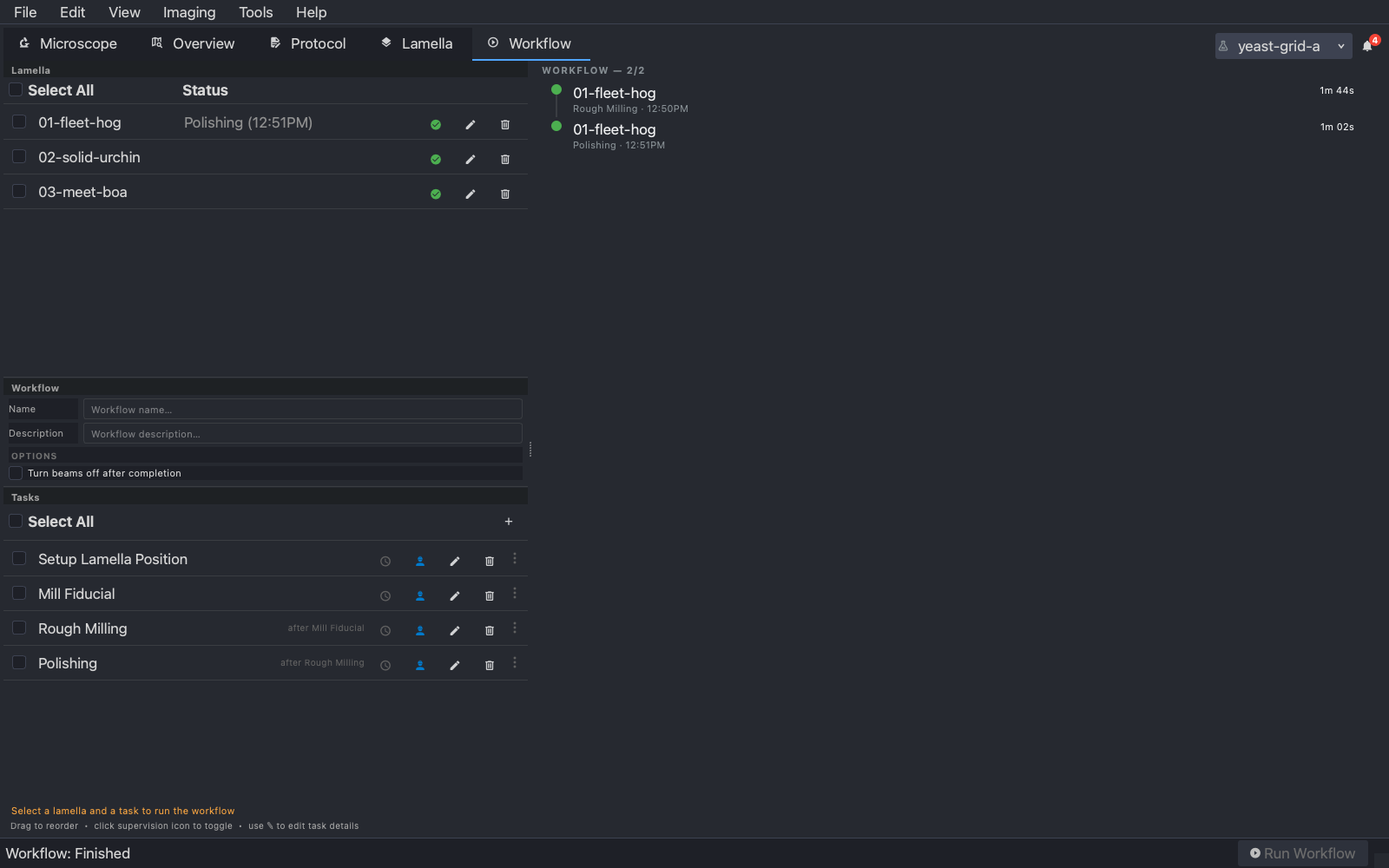 The Workflow tab after the run